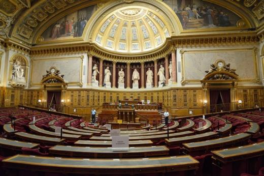 Examen du projet de loi d’habilitation par le sénat ce lundi 24 juillet à 16 h 